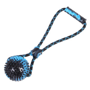 23374531411 904253661