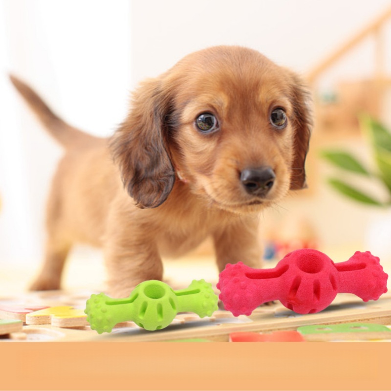 23718853319 904253661 23718853319 904253661